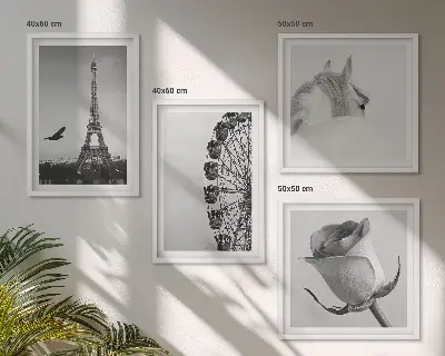 Composição de quadros com rosa, torre eiffel, cavalo e roda gigante em preto e branco