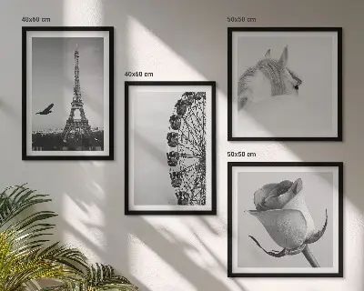 Composição de quadros com rosa, torre eiffel, cavalo e roda gigante em preto e branco