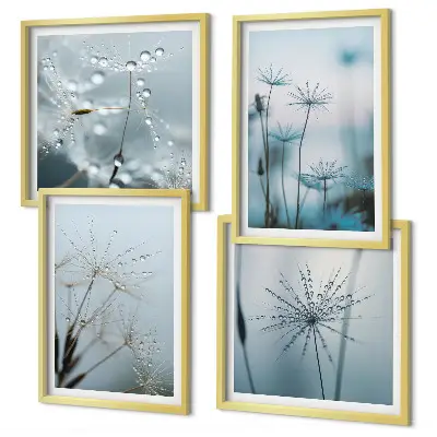 Conjunto de 4 quadros com moldura de gotas de água e dente-de-leão