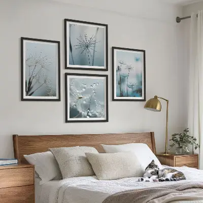Conjunto de 4 quadros com moldura de gotas de água e dente-de-leão