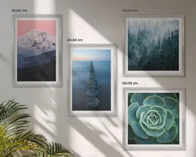 Composição de quadros com montanhas, céu rosa e suculenta na água