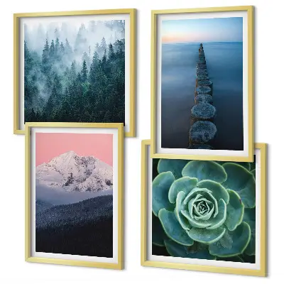 Composição de quadros com montanhas, céu rosa e suculenta na água