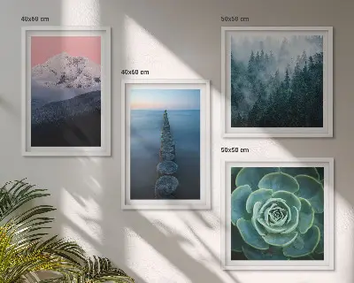 Composição de quadros com montanhas, céu rosa e suculenta na água