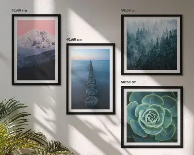 Composição de quadros com montanhas, céu rosa e suculenta na água
