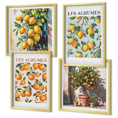 Composição de quadros com estampas de padrões cítricos e frutados