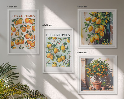 Composição de quadros padrões cítricos frutados