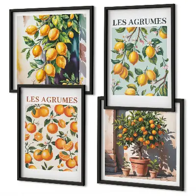 Composição de quadros com estampas de padrões cítricos e frutados