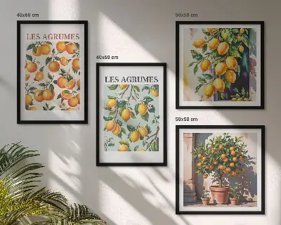 Composição de quadros com estampas de padrões cítricos e frutados
