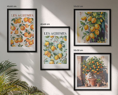 Composição de quadros padrões cítricos frutados