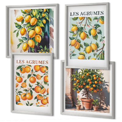Composição de quadros padrões cítricos frutados