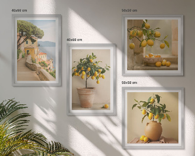Composição de quadros Limoeiros em vasos