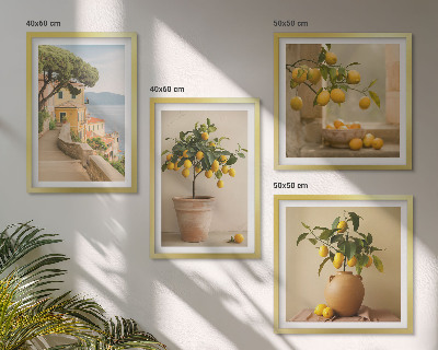Composição de quadros Limoeiros em vasos