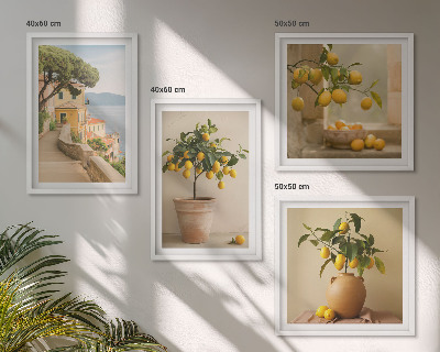 Composição de quadros Limoeiros em vasos