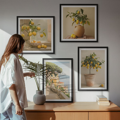 Composição de quadros Limoeiros em vasos