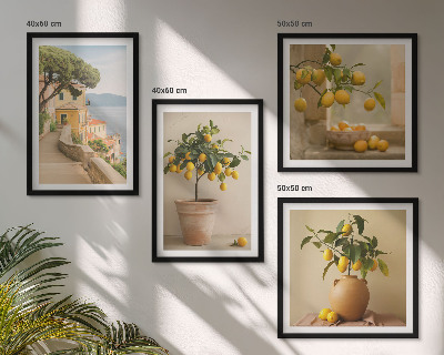 Composição de quadros Limoeiros em vasos