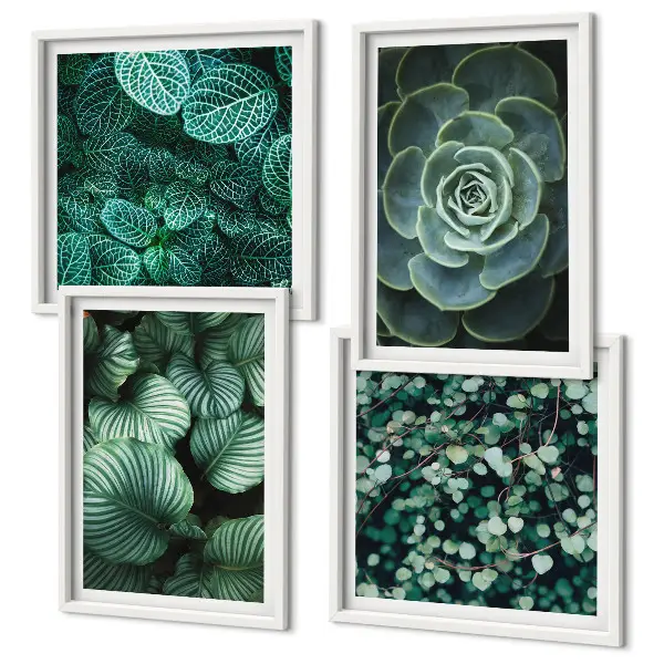 Conjunto de 4 quadros com moldura estampa de folhas suculentas verdes