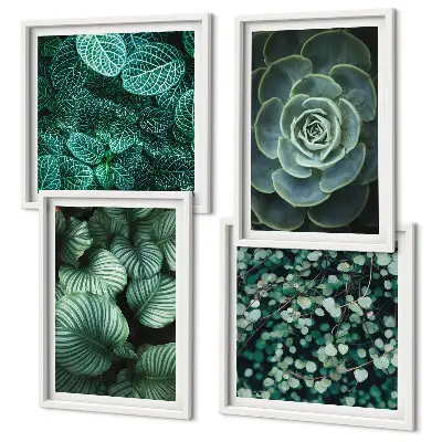 Conjunto de 4 quadros com moldura estampa de folhas suculentas verdes