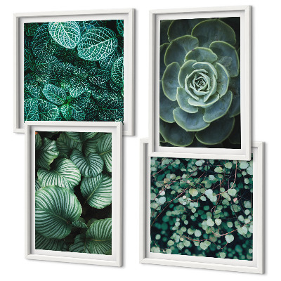 Conjunto de 4 quadros com moldura Folhas suculentas verdes