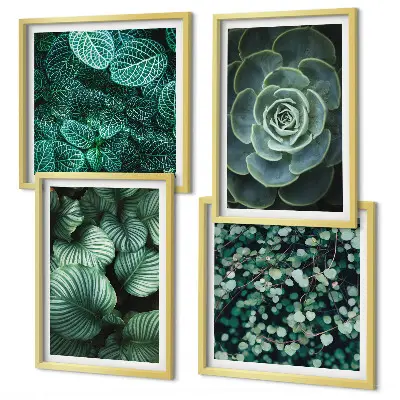 Conjunto de 4 quadros com moldura estampa de folhas suculentas verdes