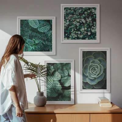 Conjunto de 4 quadros com moldura Folhas suculentas verdes