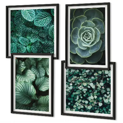 Conjunto de 4 quadros com moldura estampa de folhas suculentas verdes