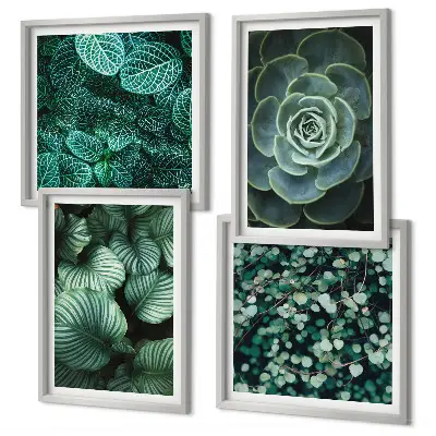 Conjunto de 4 quadros com moldura estampa de folhas suculentas verdes