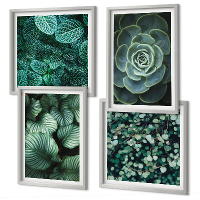 Conjunto de 4 quadros com moldura Folhas suculentas verdes