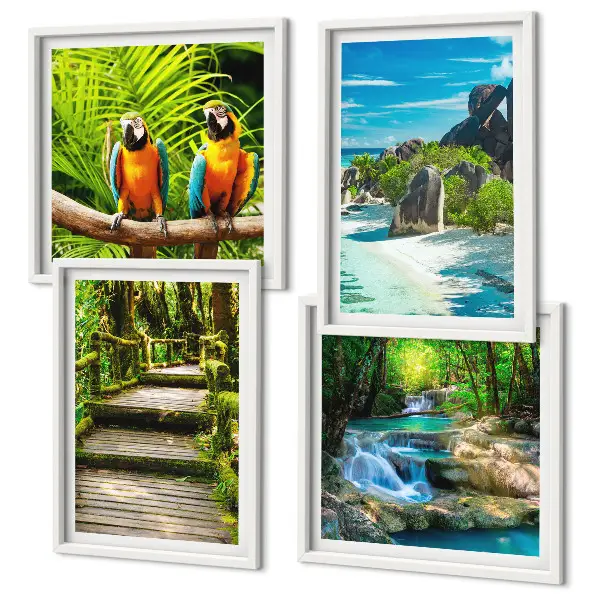 Conjunto de 4 quadros com moldura retratando cachoeira de papagaios na floresta tropical