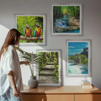 Conjunto de 4 quadros com moldura retratando cachoeira de papagaios na floresta tropical