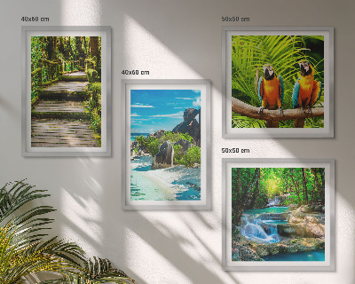 Conjunto de 4 quadros com moldura cachoeira de papagaios da floresta tropical