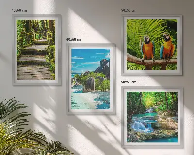 Conjunto de 4 quadros com moldura retratando cachoeira de papagaios na floresta tropical