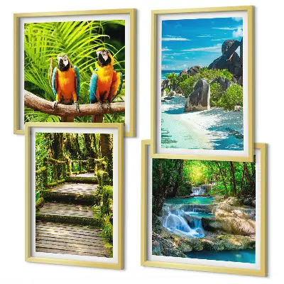 Conjunto de 4 quadros com moldura retratando cachoeira de papagaios na floresta tropical