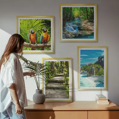 Conjunto de 4 quadros com moldura retratando cachoeira de papagaios na floresta tropical