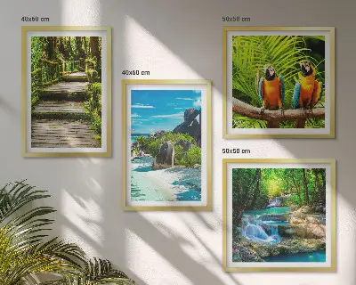 Conjunto de 4 quadros com moldura retratando cachoeira de papagaios na floresta tropical