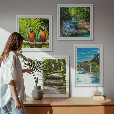 Conjunto de 4 quadros com moldura retratando cachoeira de papagaios na floresta tropical