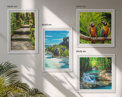 Conjunto de 4 quadros com moldura cachoeira de papagaios da floresta tropical