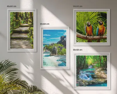Conjunto de 4 quadros com moldura retratando cachoeira de papagaios na floresta tropical