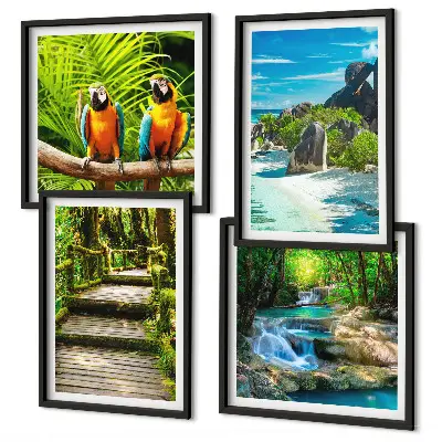 Conjunto de 4 quadros com moldura retratando cachoeira de papagaios na floresta tropical