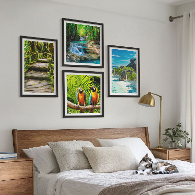 Conjunto de 4 quadros com moldura cachoeira de papagaios da floresta tropical