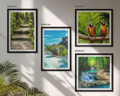 Conjunto de 4 quadros com moldura retratando cachoeira de papagaios na floresta tropical