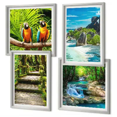 Conjunto de 4 quadros com moldura retratando cachoeira de papagaios na floresta tropical
