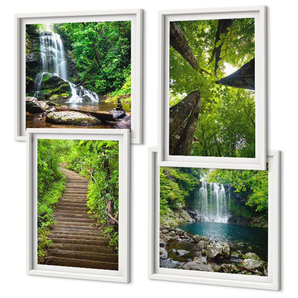 Composição de quadros Trilha na floresta com cachoeira e vegetação