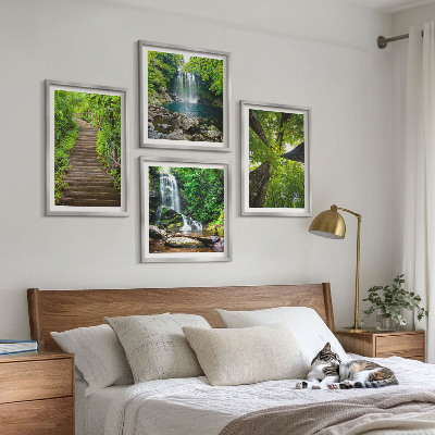 Composição de quadros Trilha na floresta com cachoeira e vegetação