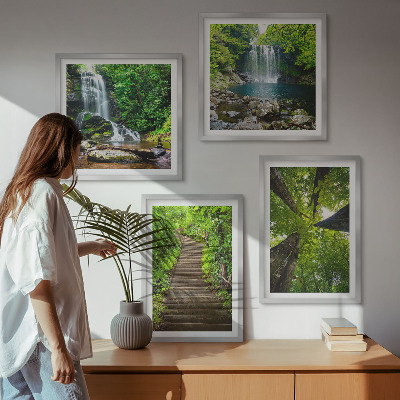 Composição de quadros Trilha na floresta com cachoeira e vegetação