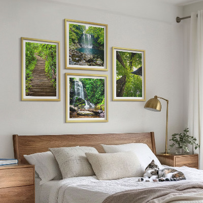 Composição de quadros Trilha na floresta com cachoeira e vegetação