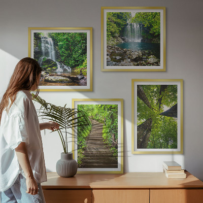 Composição de quadros Trilha na floresta com cachoeira e vegetação