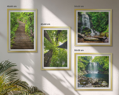 Composição de quadros Trilha na floresta com cachoeira e vegetação