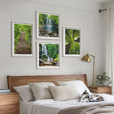 Composição de quadros Trilha na floresta com cachoeira e vegetação