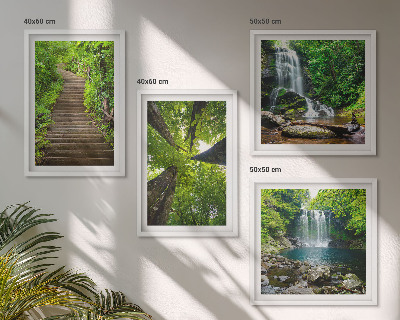 Composição de quadros Trilha na floresta com cachoeira e vegetação