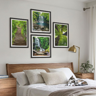 Composição de quadros Trilha na floresta com cachoeira e vegetação